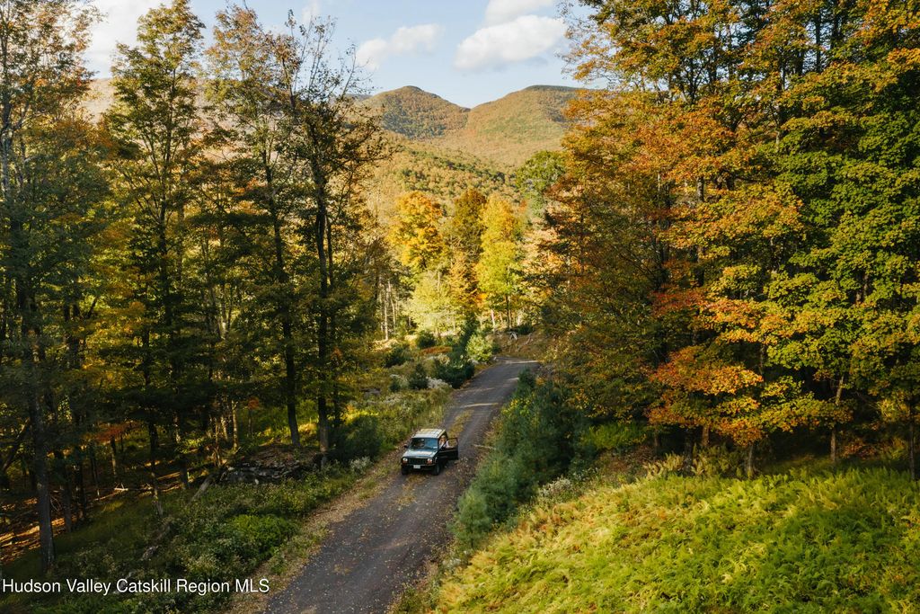 Tbd Macdaniel Rd, Bearsville