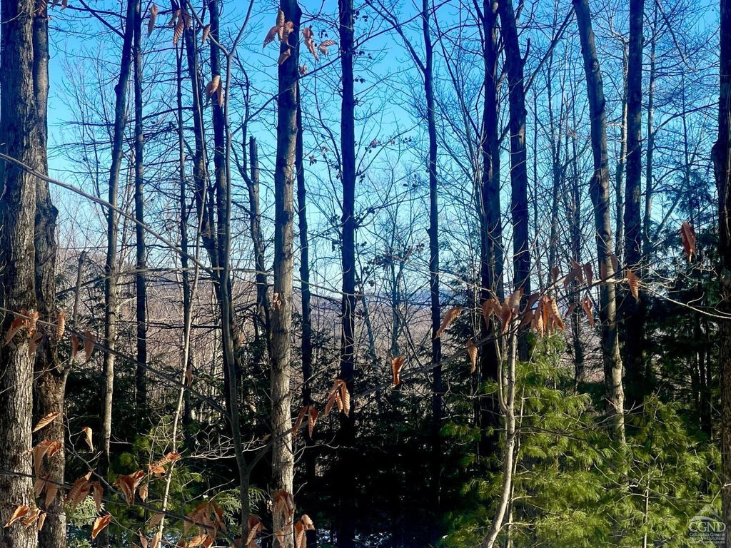 Tower Mountain Road, Jewett