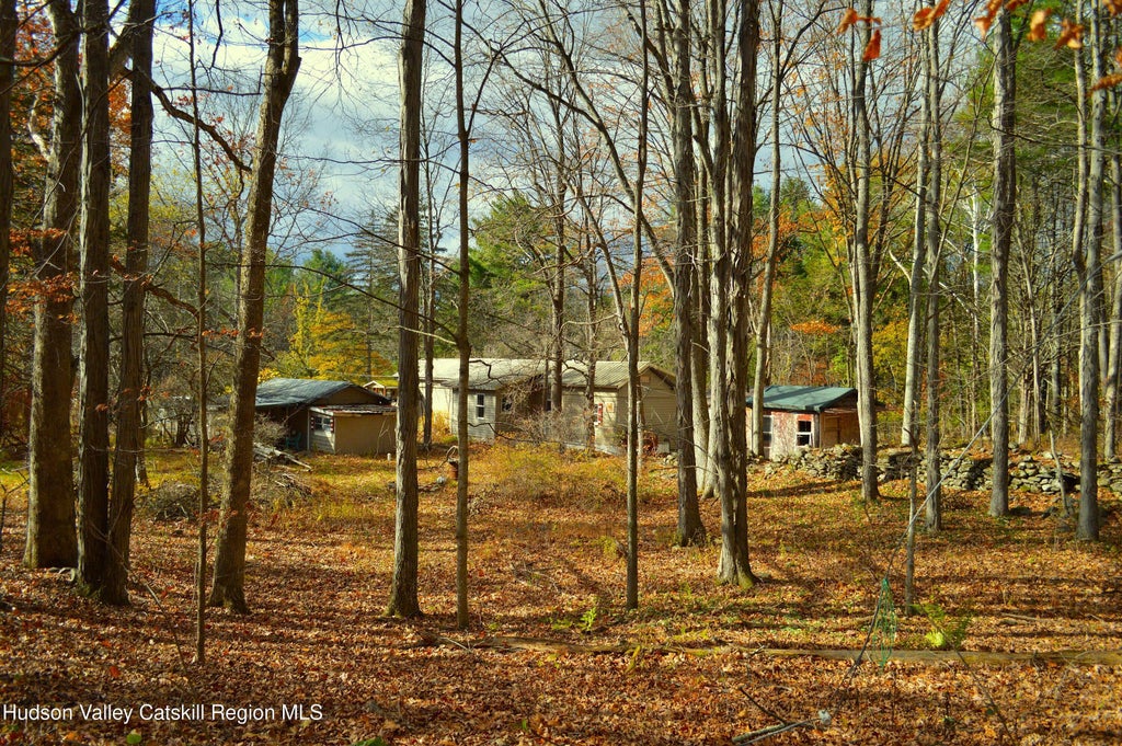 100 Meadow Lane, Cairo