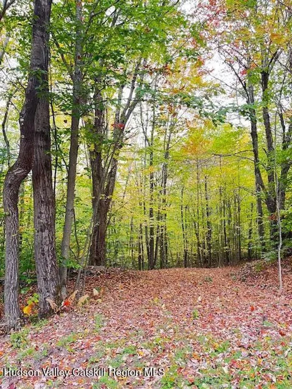Tbd Alpine Drive, Bovina