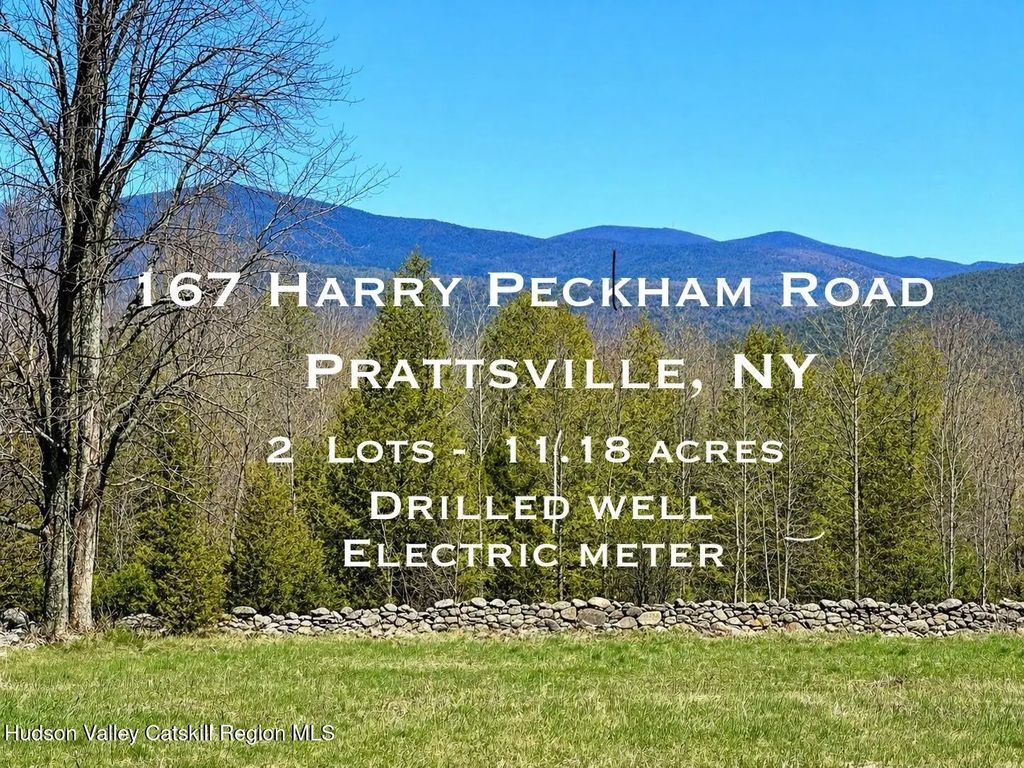 167 Harry Peckham Road, Prattsville