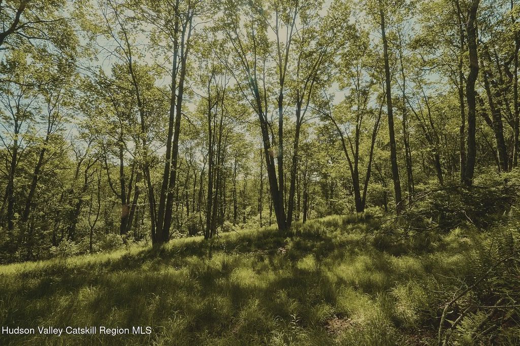 Benton Hollow Road, Liberty