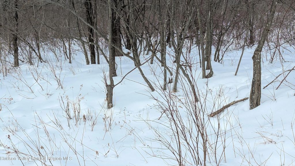 High Peak Road Lot 61 & 20, Windham