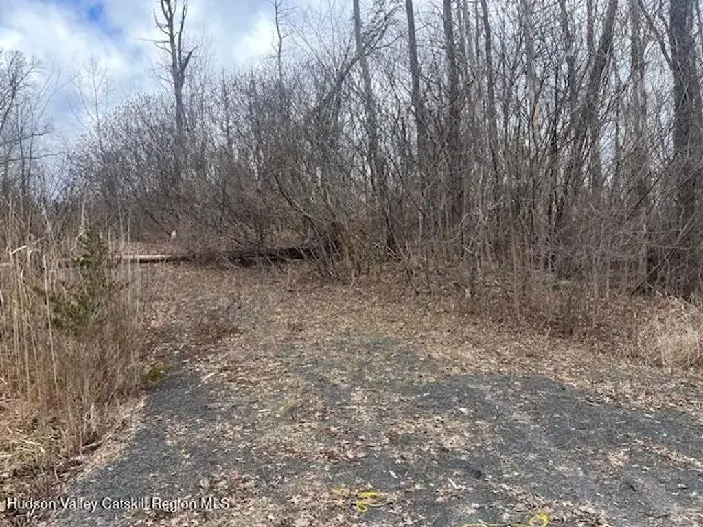 1364 Flintmine Road, Coxsackie