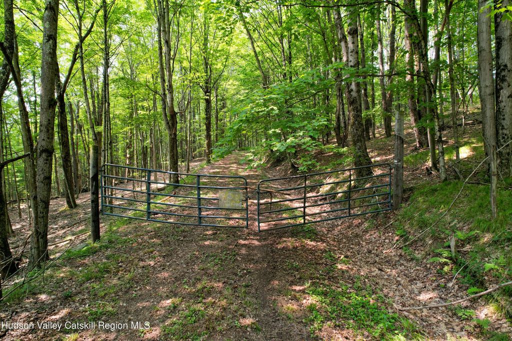 Paradise Camp Road, Fleischmanns