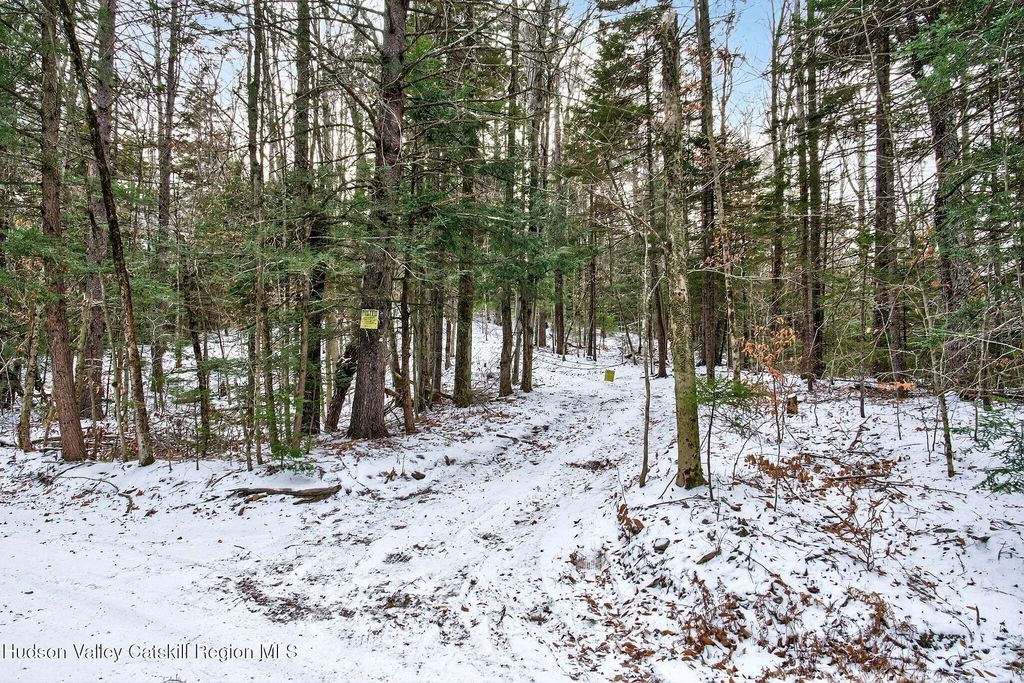 Tbd Roaring Kill Road, Elka Park