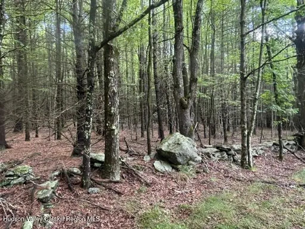 Cangiano Drive, Prattsville