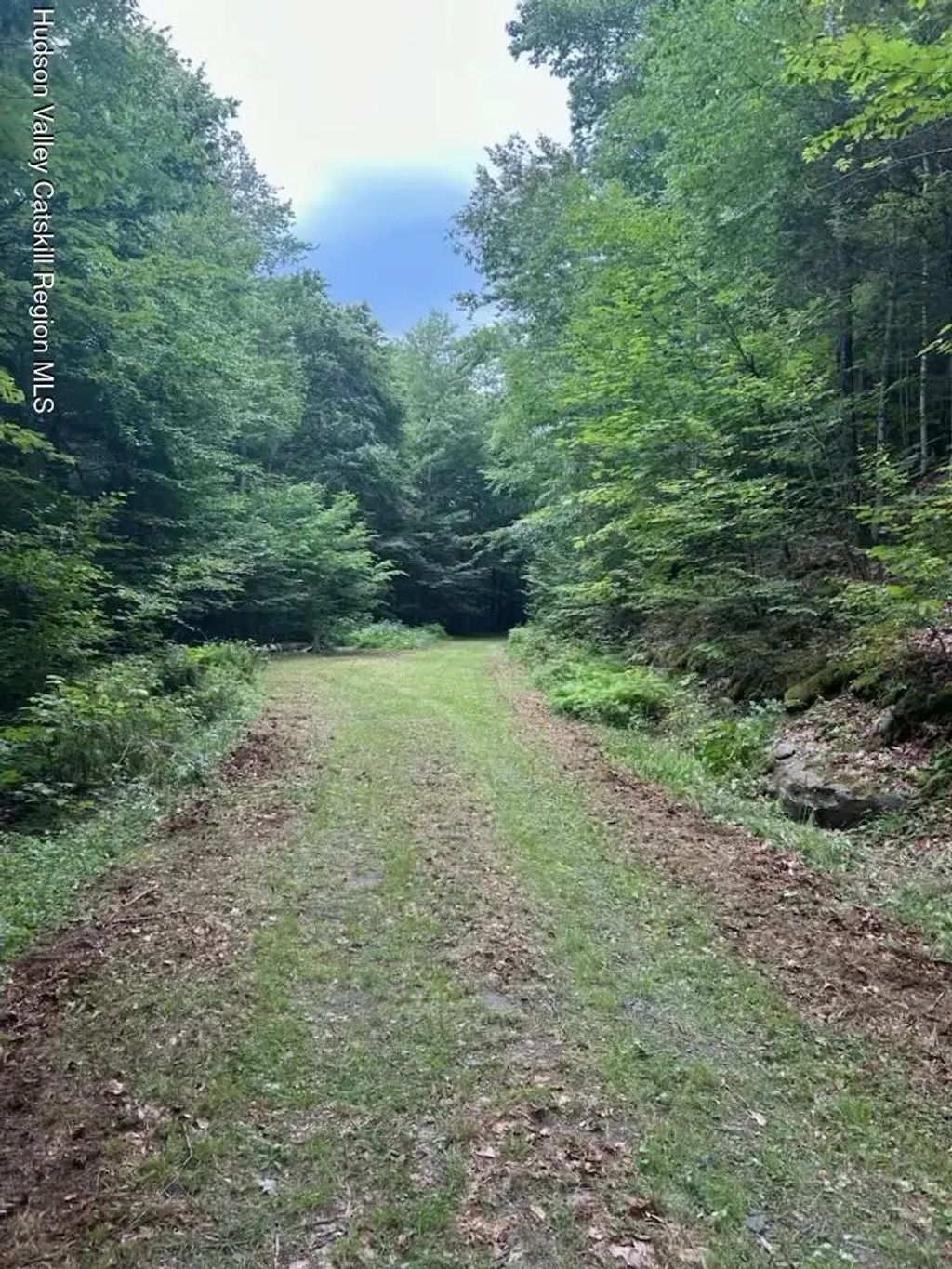 Tbd Railroad Road, Lanesville
