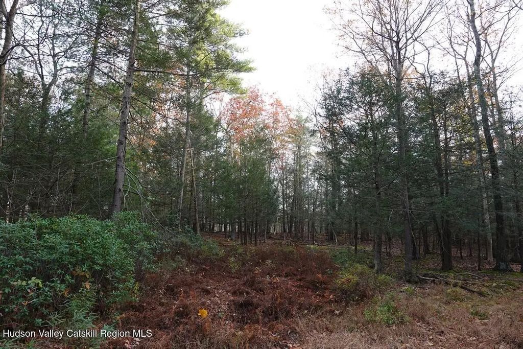 736 Manorville Road, Saugerties