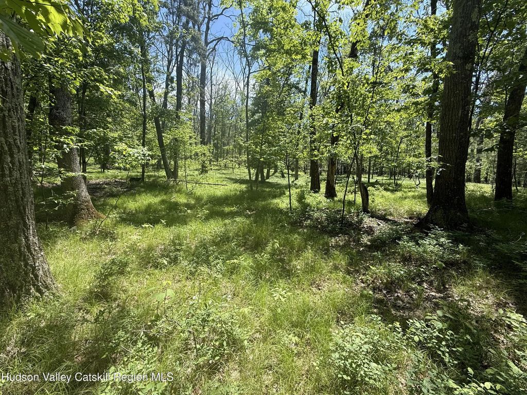 338 Mossy Hill Road, Catskill