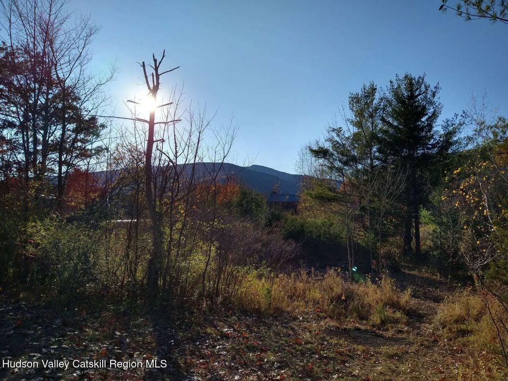 2868 Ny-23a, Palenville