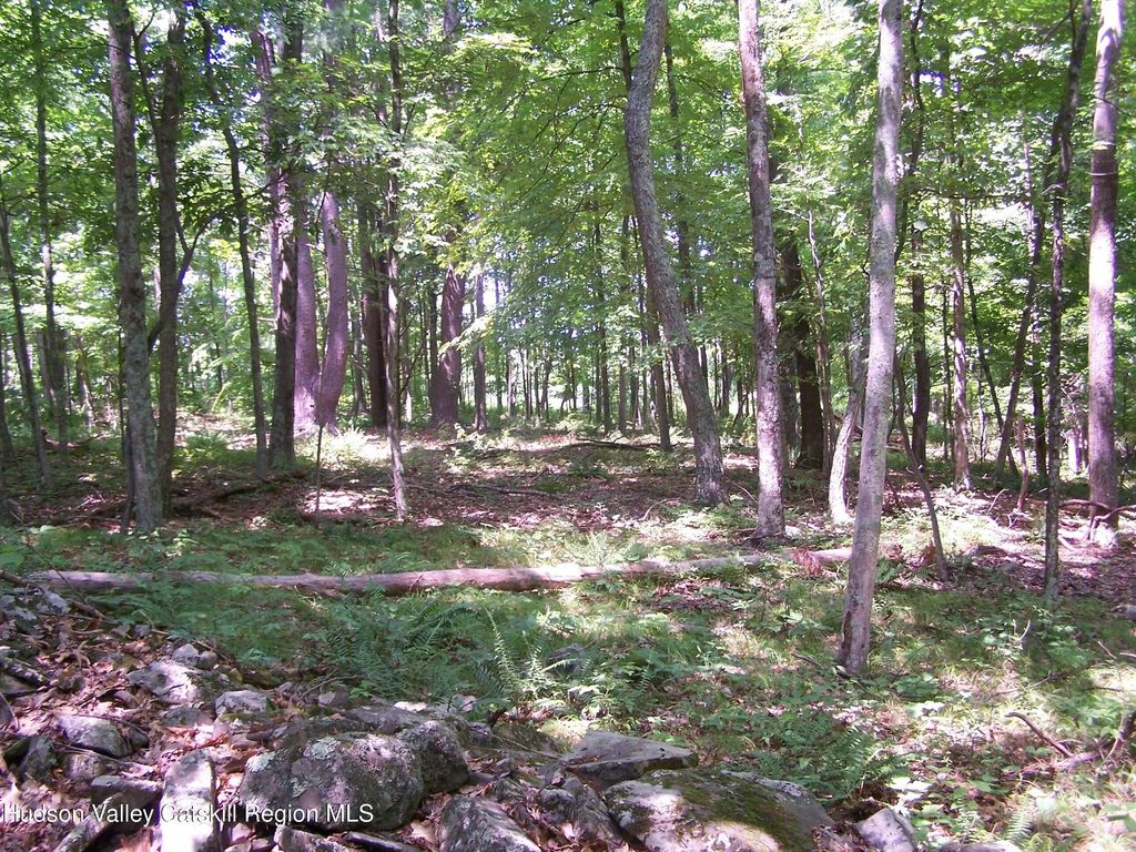 110 Burleigh Road, New Paltz