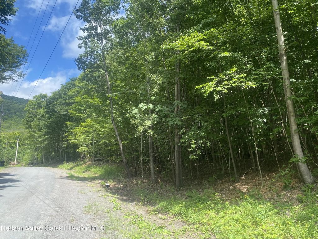 140 Arbor Road, West Kill
