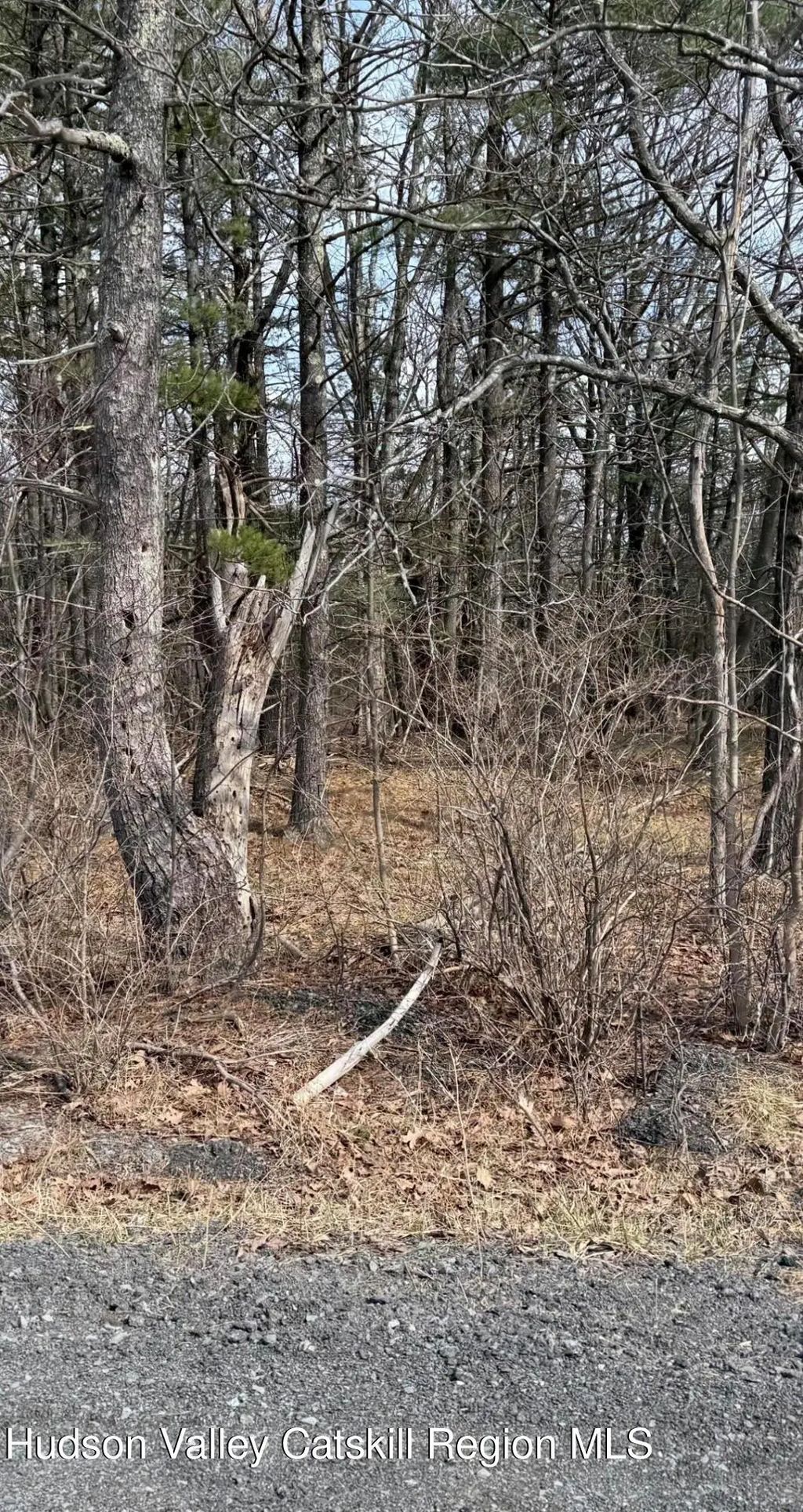 County Route 312, Coeymans