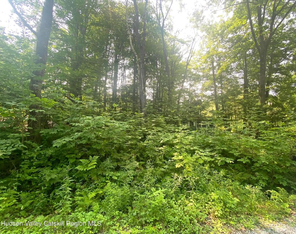 1270 Hurley Mountain Road, Hurley