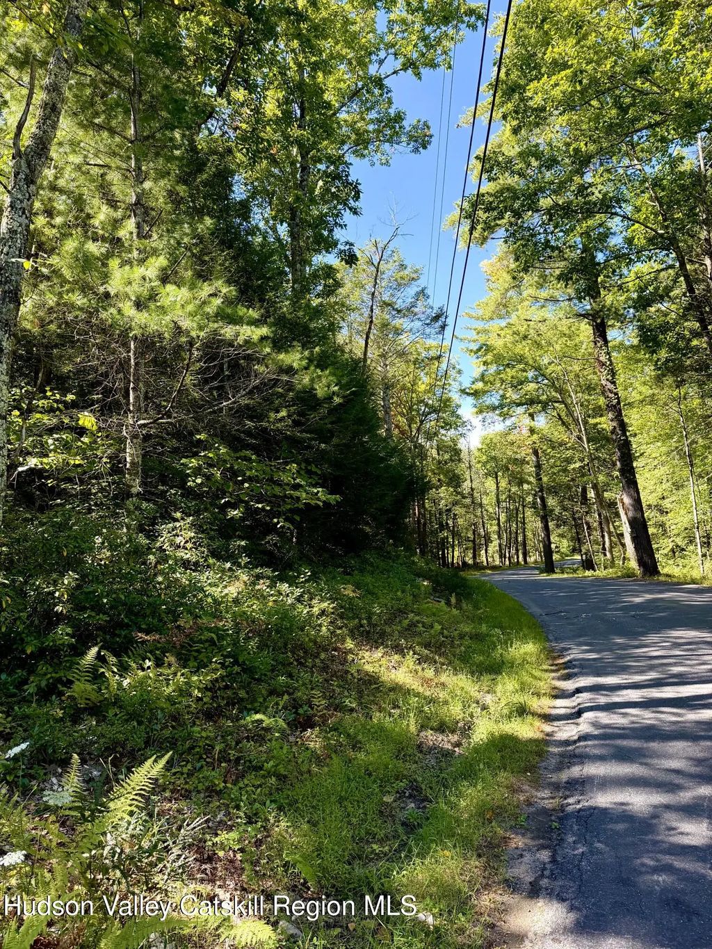 Lot 2 Bennett Road, Napanoch