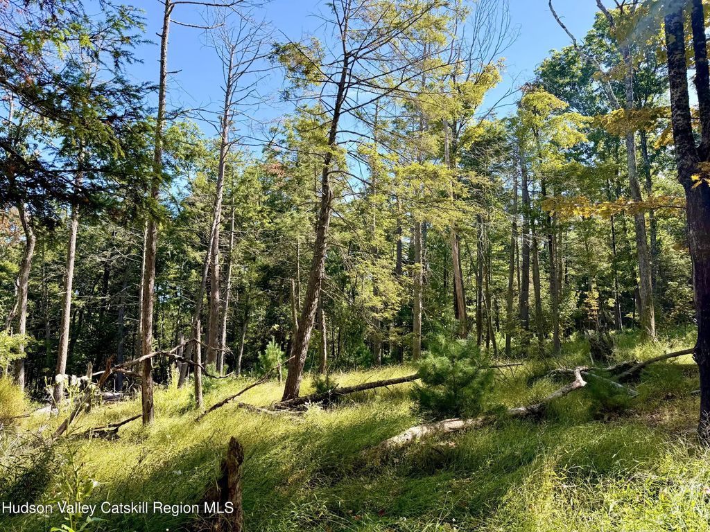 Lot 8 Brandy Brook Road, Napanoch