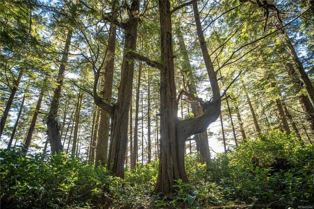 5 of 42 - 0 Francis Island, Ucluelet, BC