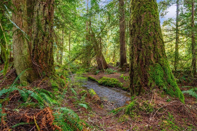 4 of 64 - Lot 13 Island Hwy W, Bowser, BC
