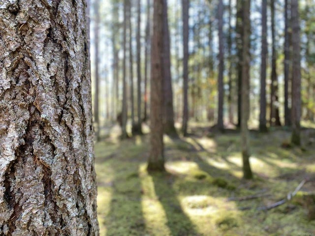4 of 25 - Lt 4 Sitka Grove, Gabriola Island, BC