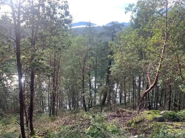 1 of 57 - 409 Pilkey Point Rd, Thetis Island, BC