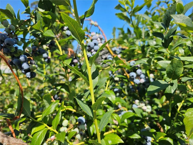 4 of 85 - 2156 Coleman Rd, Courtenay, BC