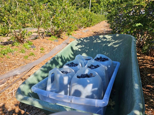 5 of 85 - 2156 Coleman Rd, Courtenay, BC