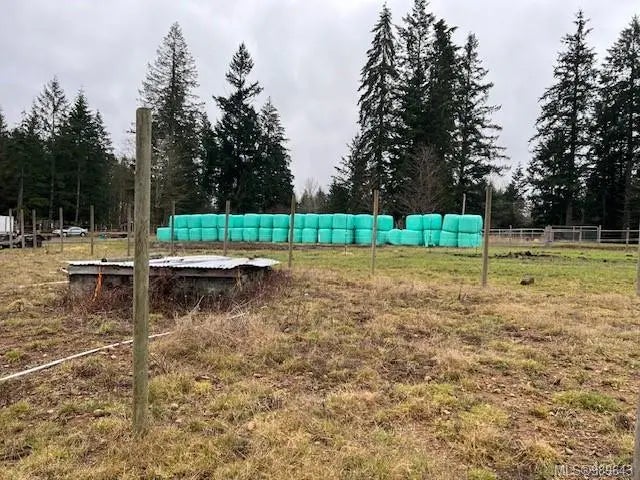 5 of 6 - 7318 Island Hwy, Merville, BC