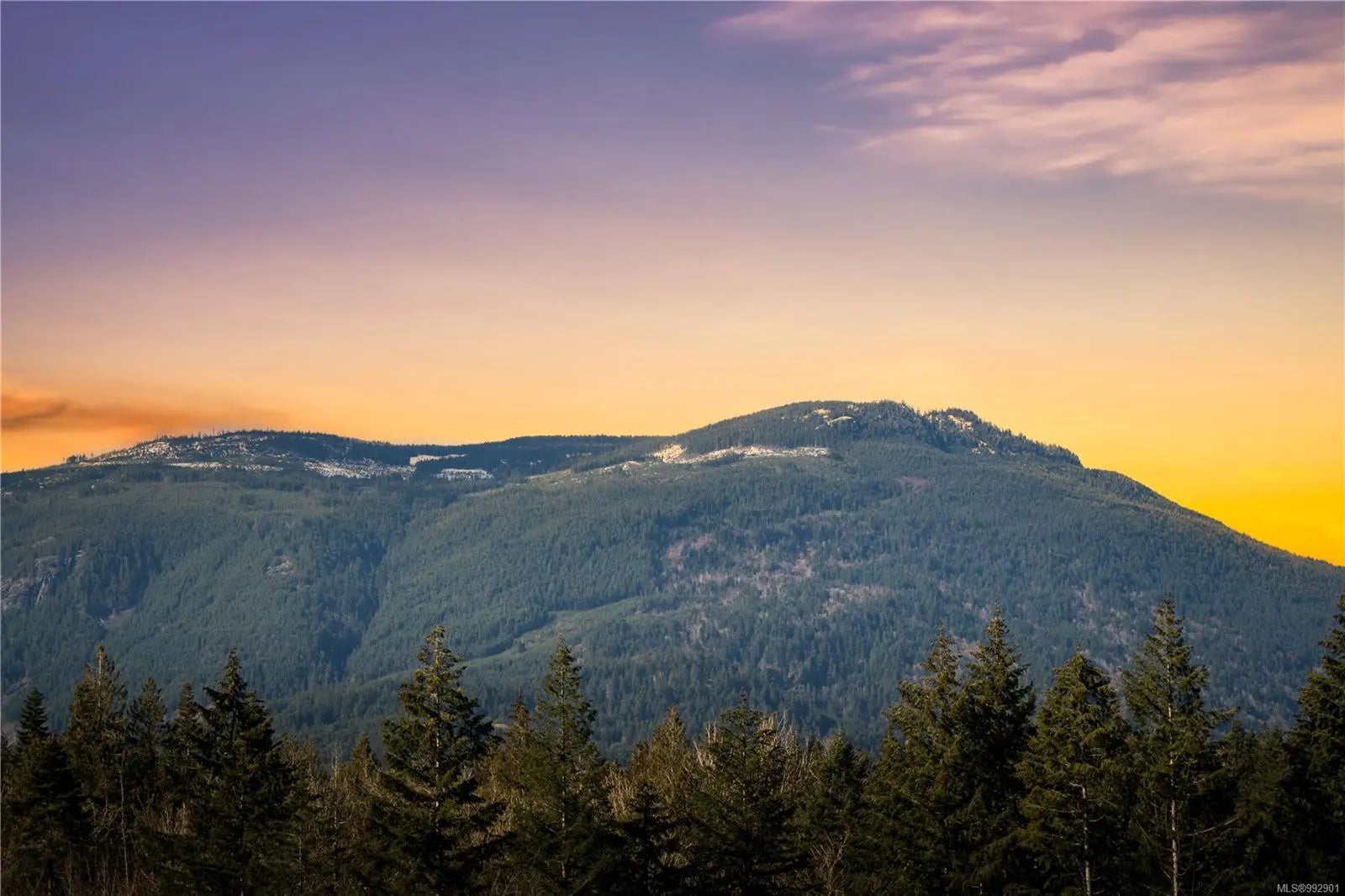 Residential Real Estate for Sale at 3499 Henry Rd 106 in the city of Chemainus by MLS #992901