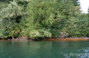 4 of 6 - 447 Bamfield Inlet, Bamfield, BC