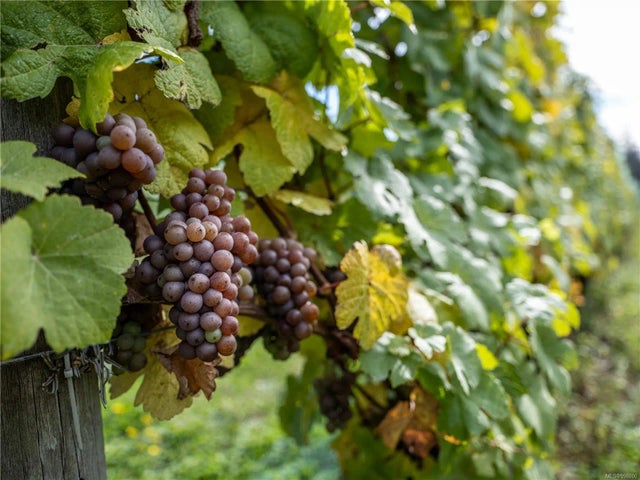 5 of 34 - 840 Cherry Point Rd, Cobble Hill, BC