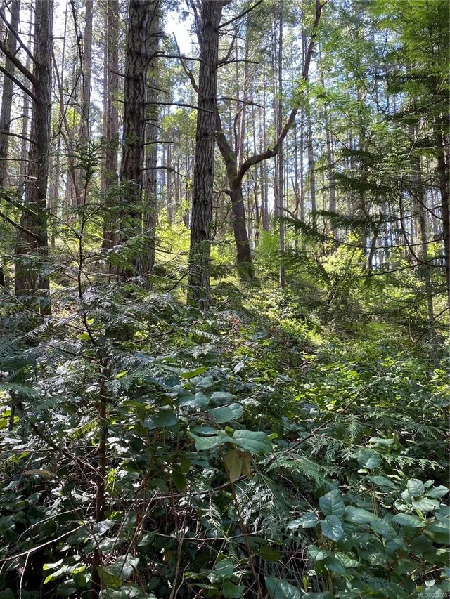2 of 12 - Lot 36 Ruxton Island, Ruxton Island, BC