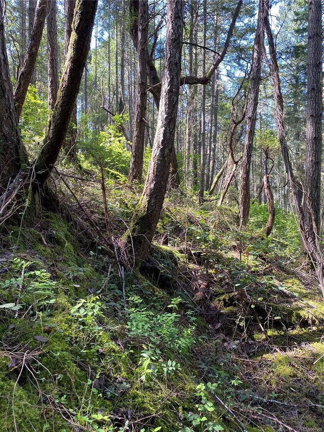 3 of 12 - Lot 36 Ruxton Island, Ruxton Island, BC