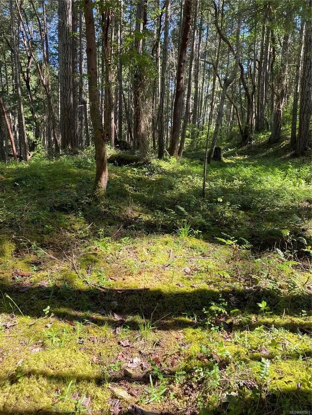 4 of 12 - Lot 36 Ruxton Island, Ruxton Island, BC