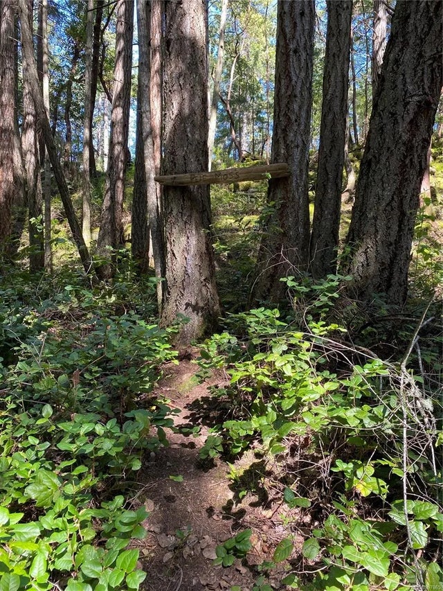 5 of 12 - Lot 36 Ruxton Island, Ruxton Island, BC