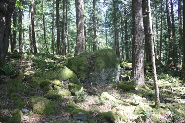 5 of 19 - 1 Lennie Rd, Lasqueti Island, BC