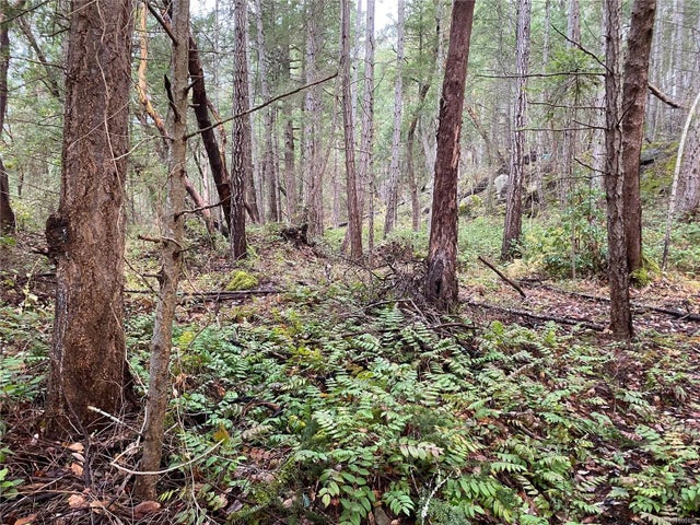 1 of 11 - N/A, Ruxton Island, BC