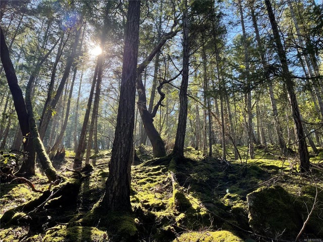 4 of 27 - Lot 145 Coho Blvd, Mudge Island, BC