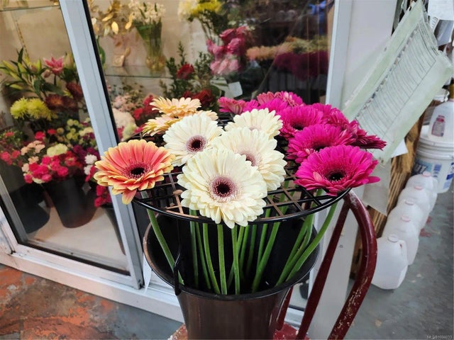 2 of 13 - 102 Island Hwy E 2, Parksville, BC