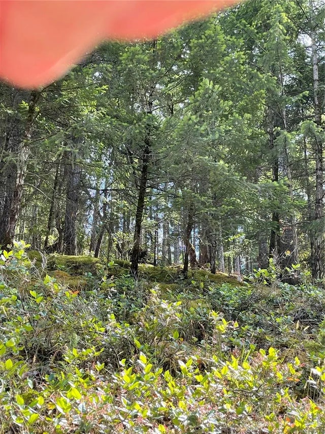 2 of 6 - Lot 141 Coho Blvd, Mudge Island, BC