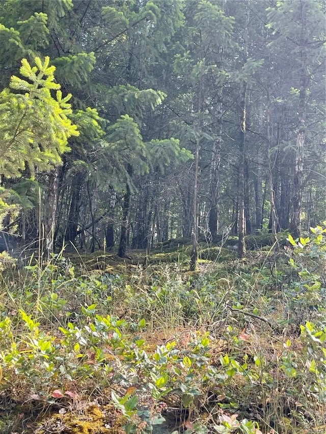 3 of 6 - Lot 141 Coho Blvd, Mudge Island, BC
