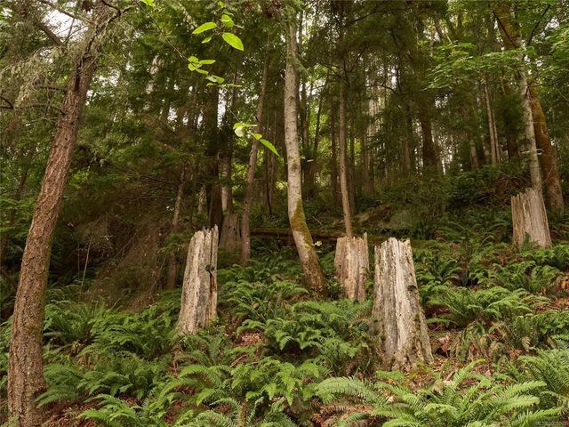 3 of 8 - Lot 105 Pequod Cres, Gabriola Island, BC