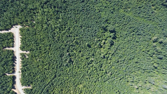 5 of 5 - Lot 106 Pratt Rd, Hilliers, BC