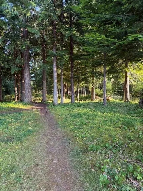 5 of 7 - 459 Hoylake Rd W, Qualicum Beach, BC