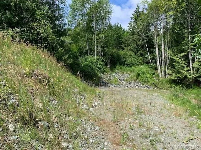 4 of 12 - 167 River Rd, Lake Cowichan, BC