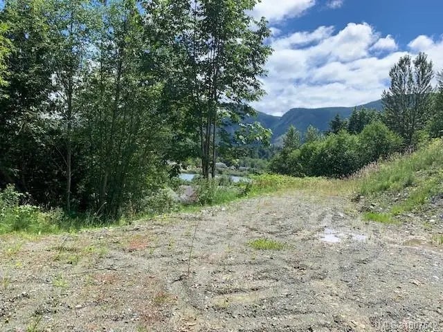 5 of 12 - 167 River Rd, Lake Cowichan, BC