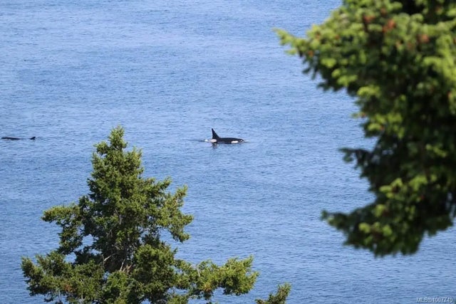 198 Heritage Dr, Nanaimo