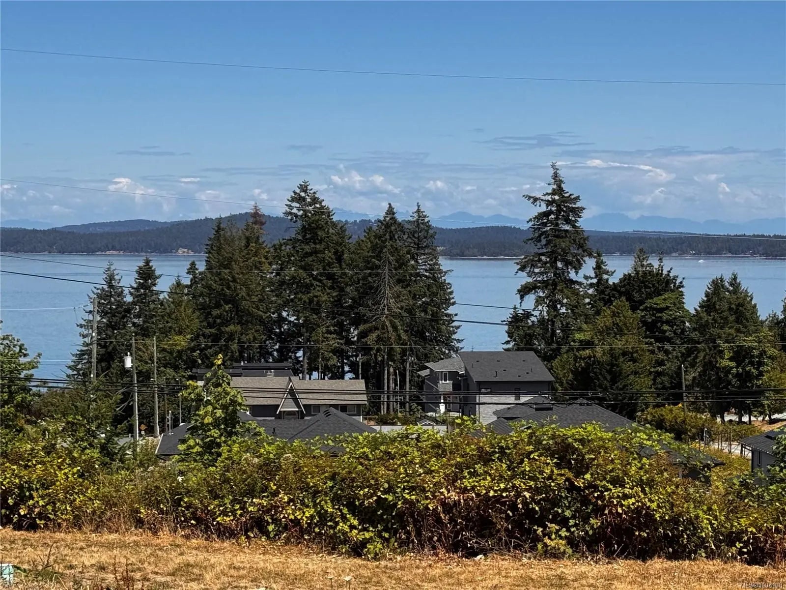 1008108, Residential, Lot 2 Douglas St, Chemainus, BC, , , V0R 1K0