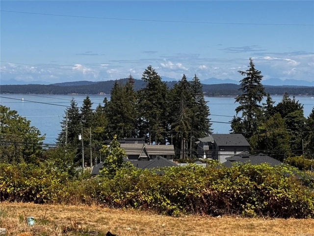 3 of 9 - Lot 2 Douglas St, Chemainus, BC
