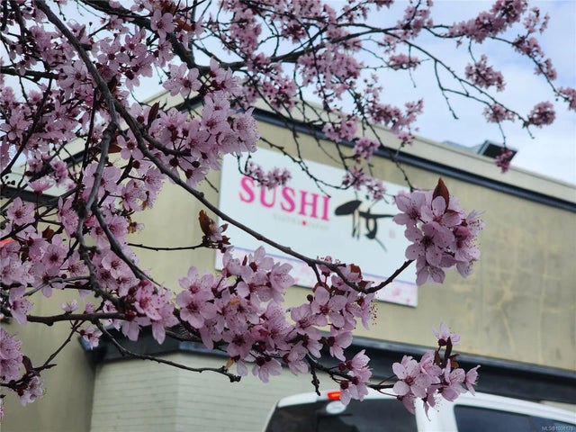 1 of 8 - 382 Island Hwy E, Parksville, BC